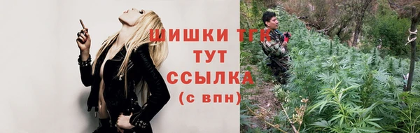 крисы Гусь-Хрустальный