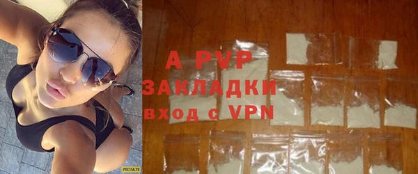 прущие грибы Кулебаки