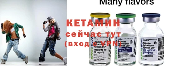 прущие грибы Кулебаки