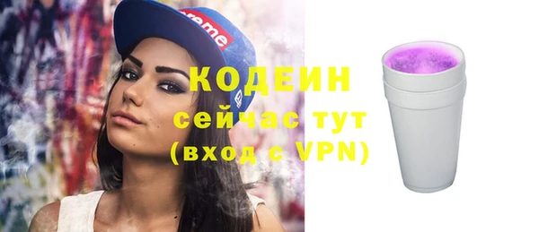 прущие грибы Кулебаки
