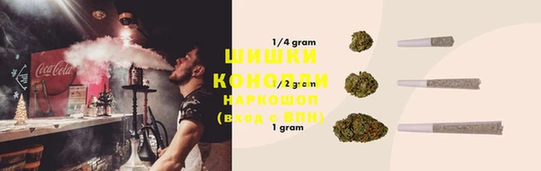 прущие грибы Кулебаки