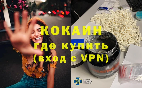 прущие грибы Кулебаки