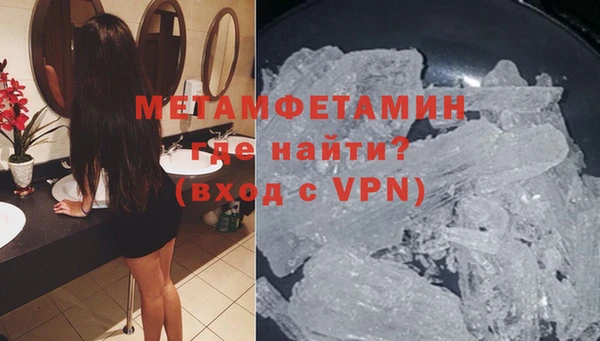 прущие грибы Кулебаки