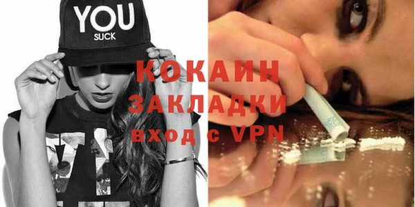 прущие грибы Кулебаки