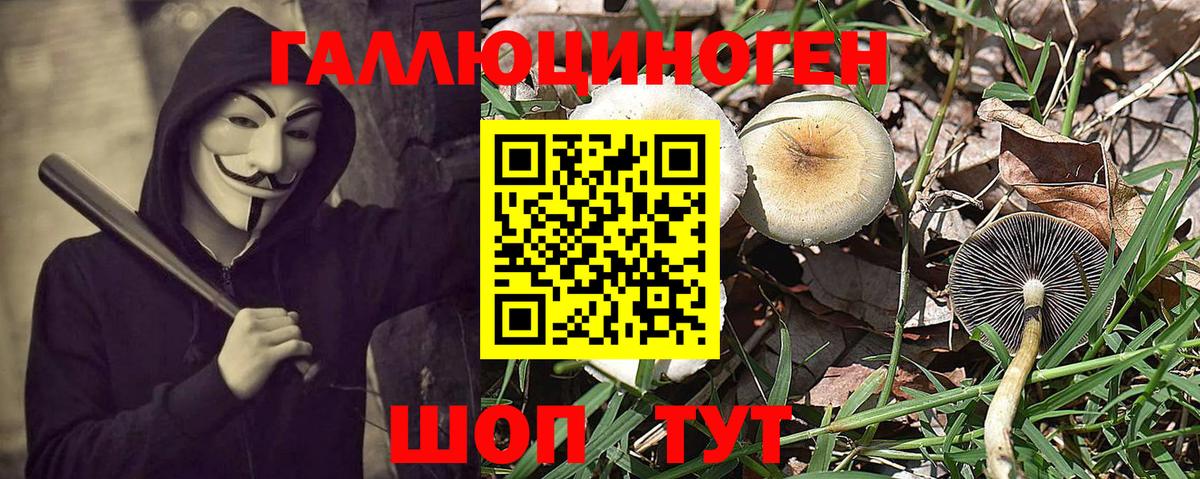 Псилоцибиновые грибы GOLDEN TEACHER Симферополь