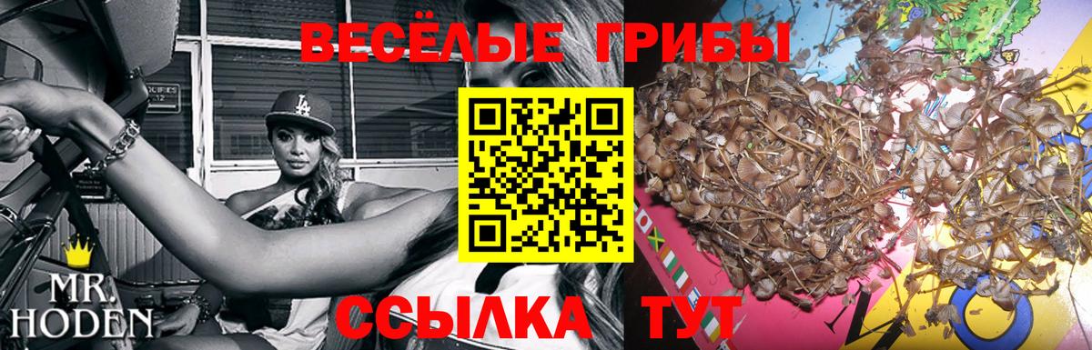 как найти   Вход с VPN  Симферополь  Галлюциногенные грибы мицелий 
