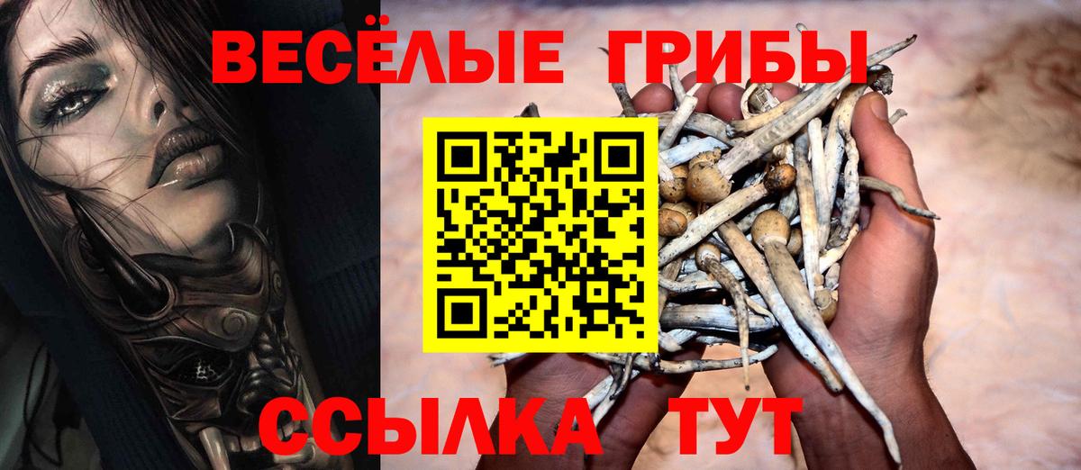 Галлюциногенные грибы GOLDEN TEACHER  Галлюциногенные грибы прущие грибы  Симферополь 